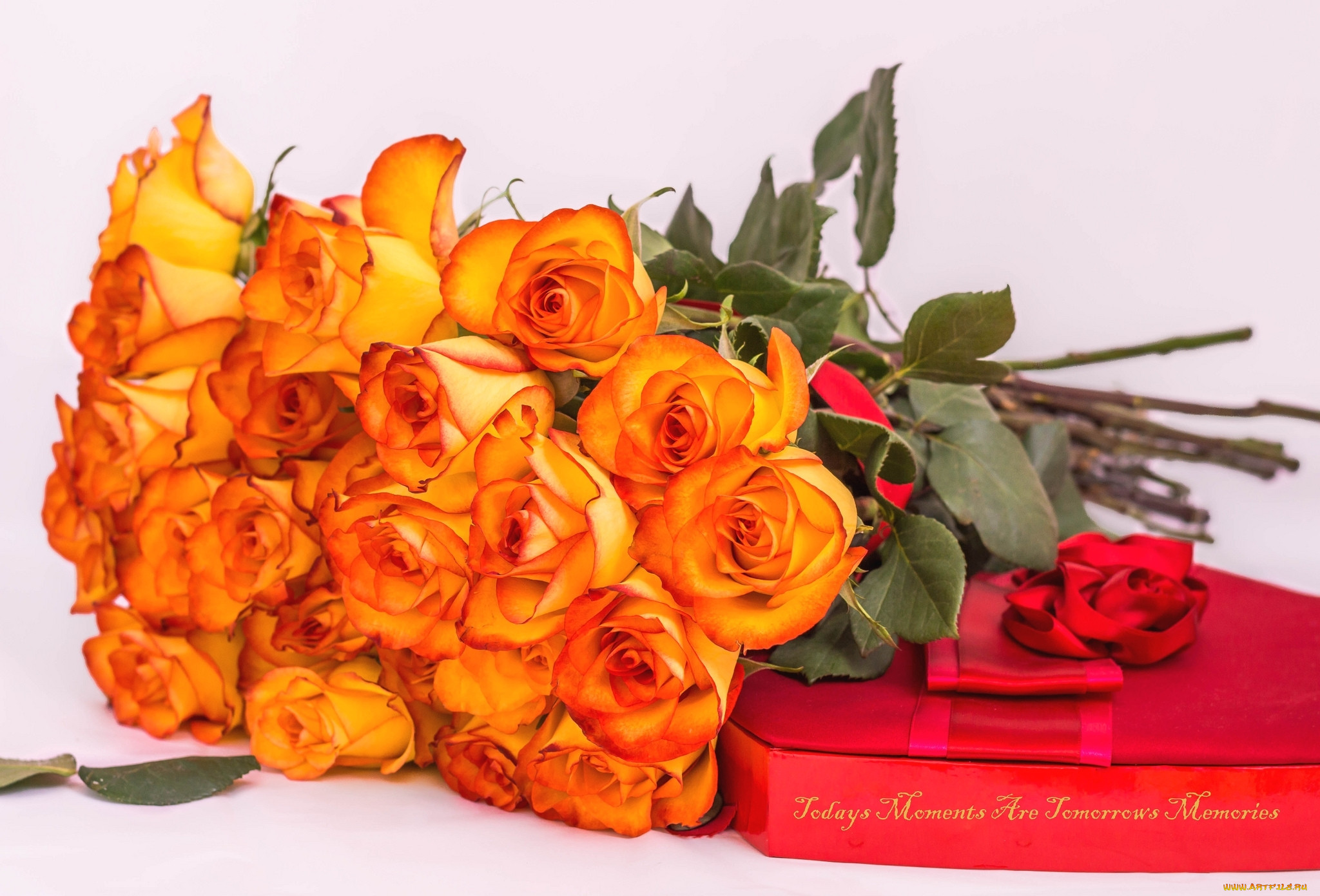 Красивые желто оранжевые розы